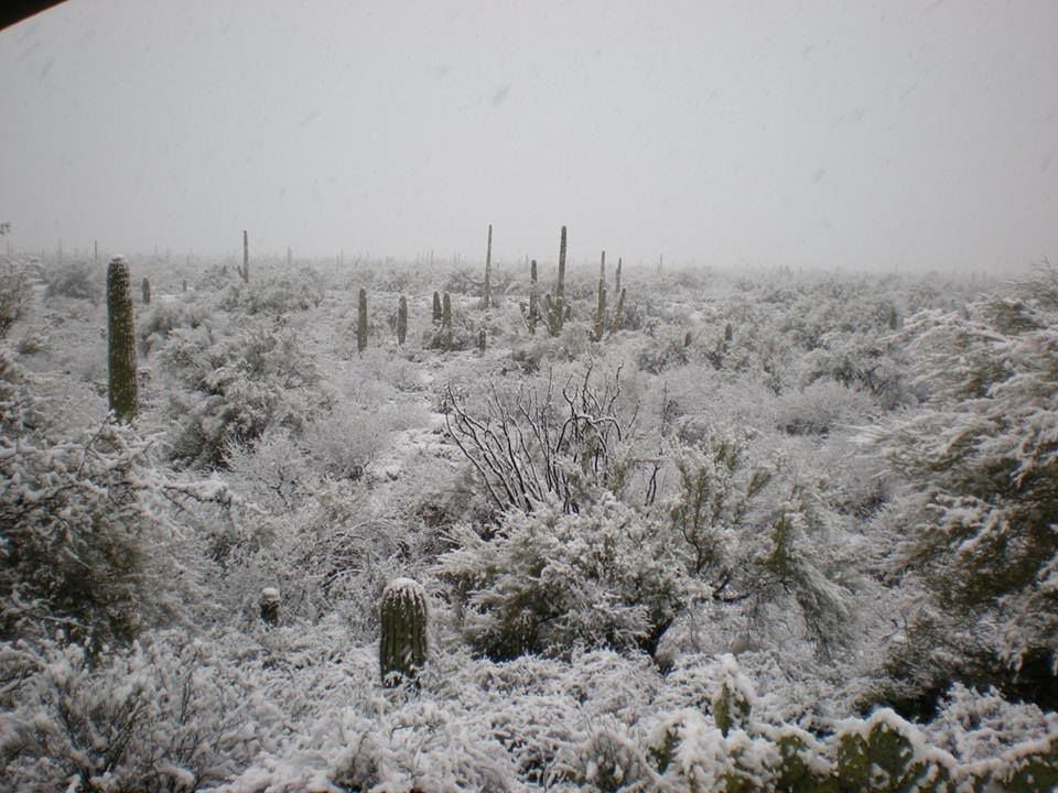 Snow in Tucson